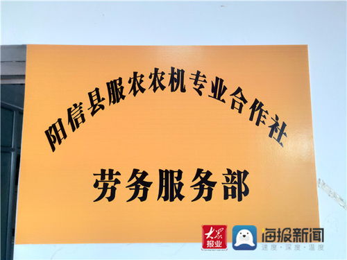 合作社里的新引擎 陽信流坡塢鎮組建勞務服務部，鋪就家門口的就業路